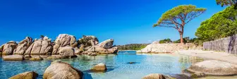Famous pine tree and the lagoon on the Palombaggia beach, Corsica, France, Europe. Von Eva Bocek